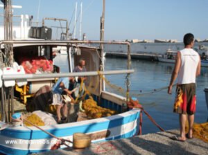 Agia Galini les pêcheurs qui rentrent au port